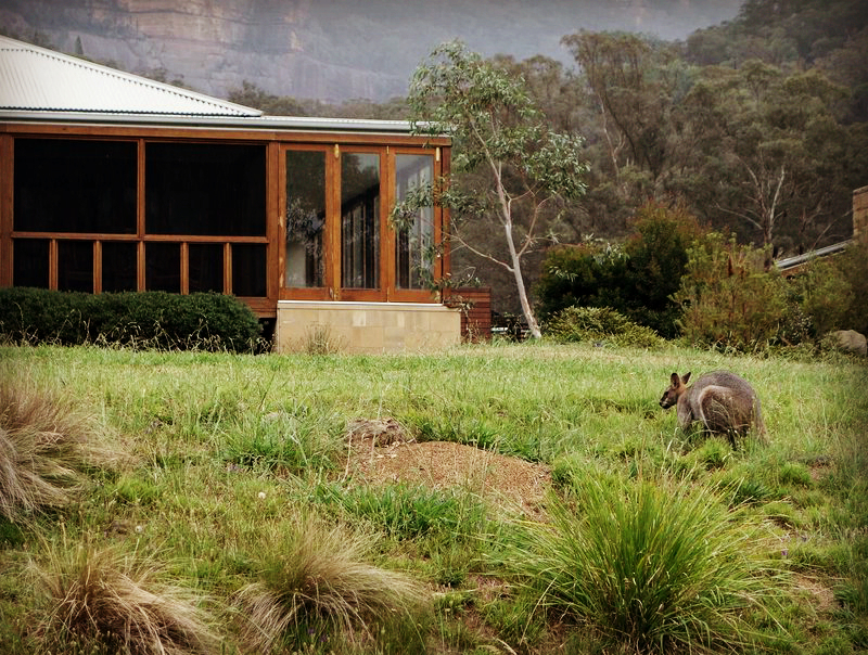 ../Images/YEH,HUI-CHEN.Emirates One&Only Wolgan Valley (05).jpg